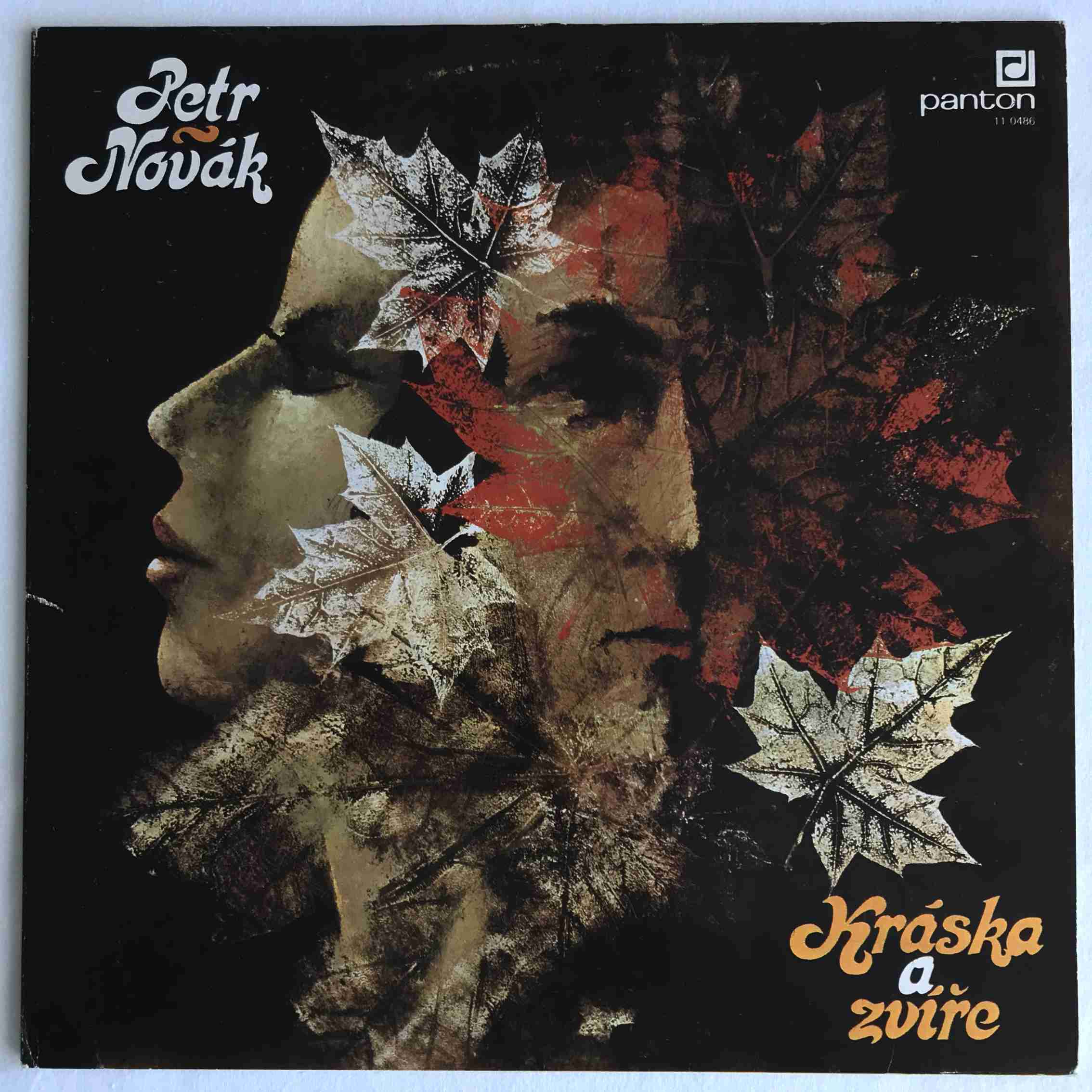 Petr Novák - Kráska A Zvíře