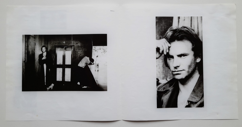 Sting - ...Nothing Like The Sun - Obrázek 5