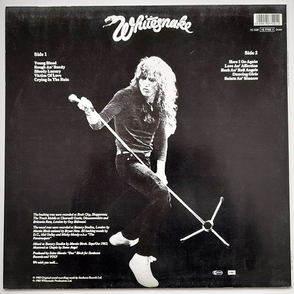 Whitesnake - Saints & Sinners - Obrázek 2