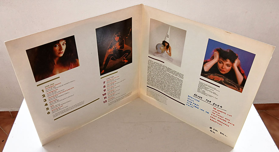 Kate Bush - The Whole Story - Obrázek 3