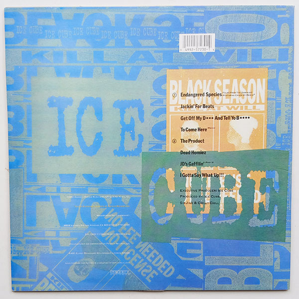 Ice Cube - Kill At Will - Obrázek 2