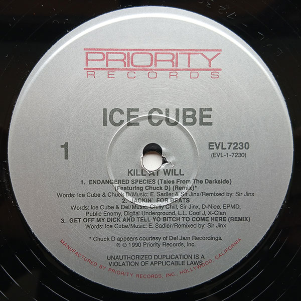Ice Cube - Kill At Will - Obrázek 3