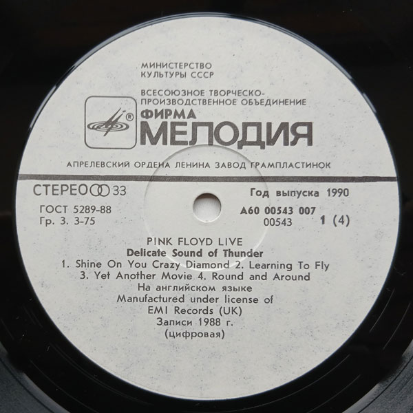 Pink Floyd - Delicate Sound Of Thunder - Obrázek 5