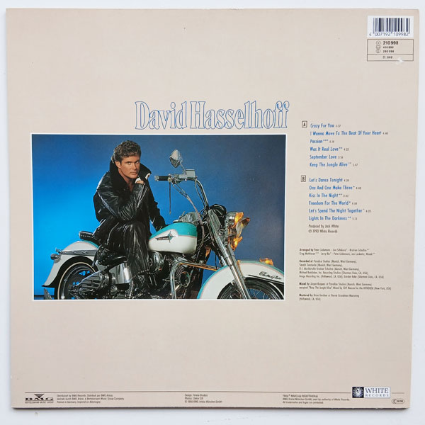 David Hasselhoff - Crazy For You - Obrázek 2
