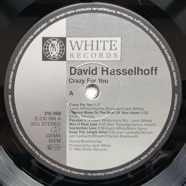 David Hasselhoff - Crazy For You - Obrázek 3